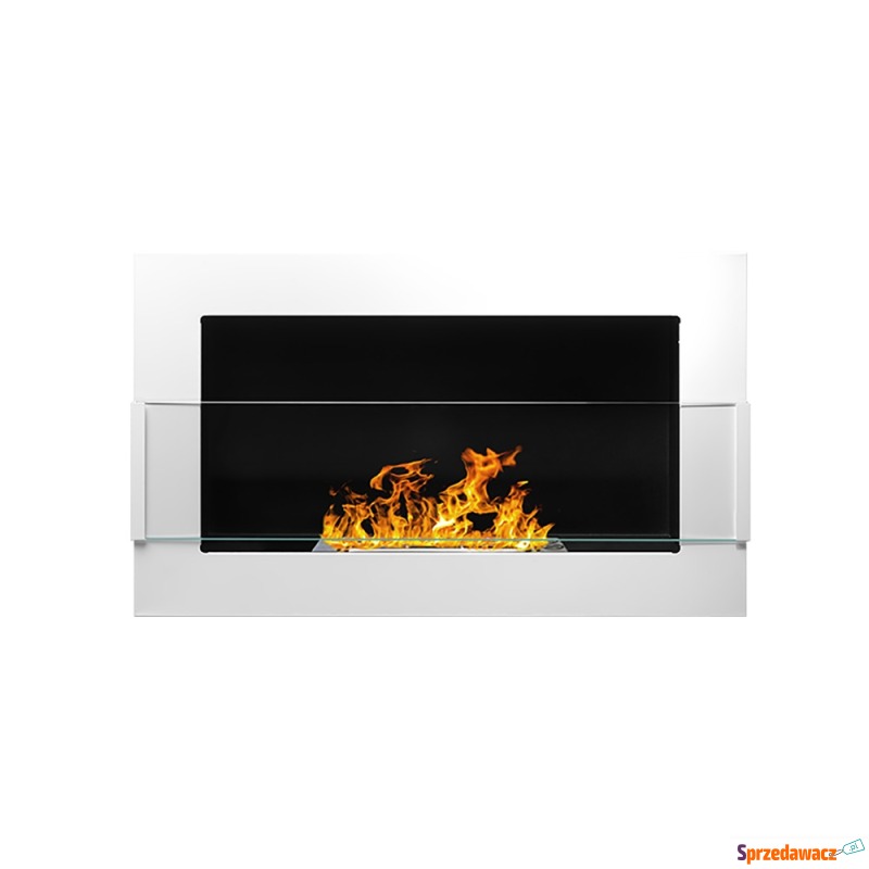 SELSEY Biokominek Astralis 65x40...
