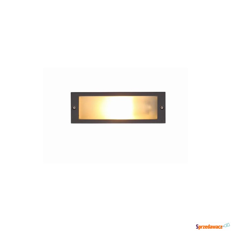 LAMPA WPUSZCZANA ZEWNĘTRZNA IP65...