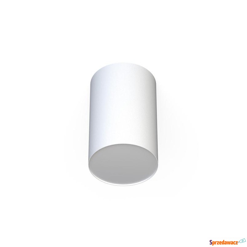 SPOT POINT PLEXI WHITE L 6528...