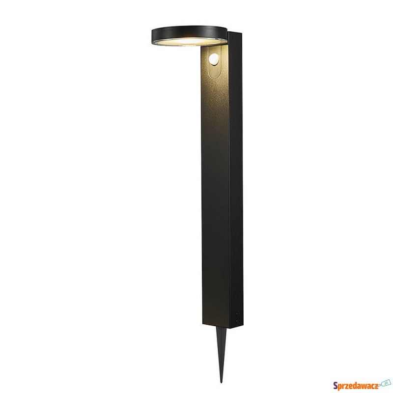 SELSEY Lampa ogrodowa solarna Rica...