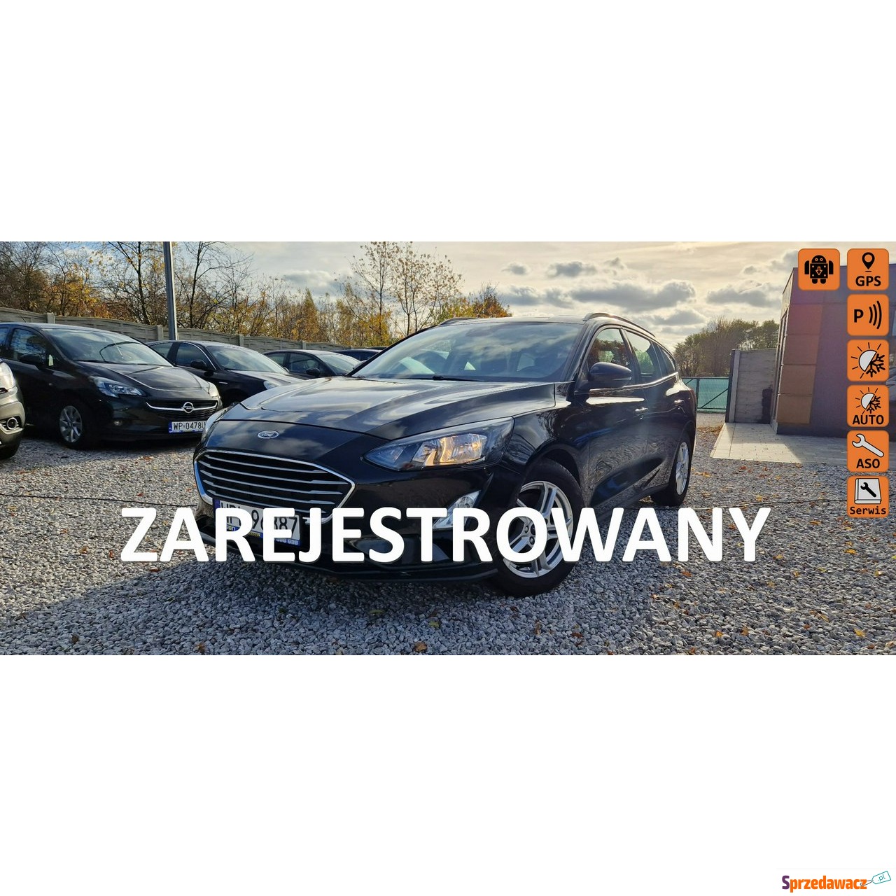 Ford Focus 2019