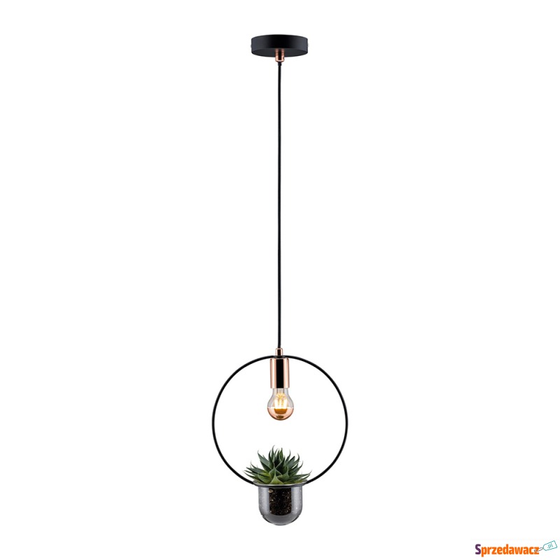 SELSEY Lampa wisząca Nibbler okrągła z donicz... - Lampy wiszące, żyrandole - Gorzów Wielkopolski