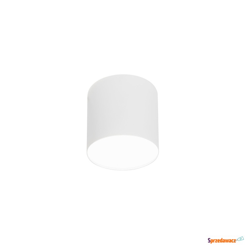 SELSEY Spot sufitowy Point Plexi 13 cm biały 6525... - Lampy wiszące, żyrandole - Kędzierzyn-Koźle