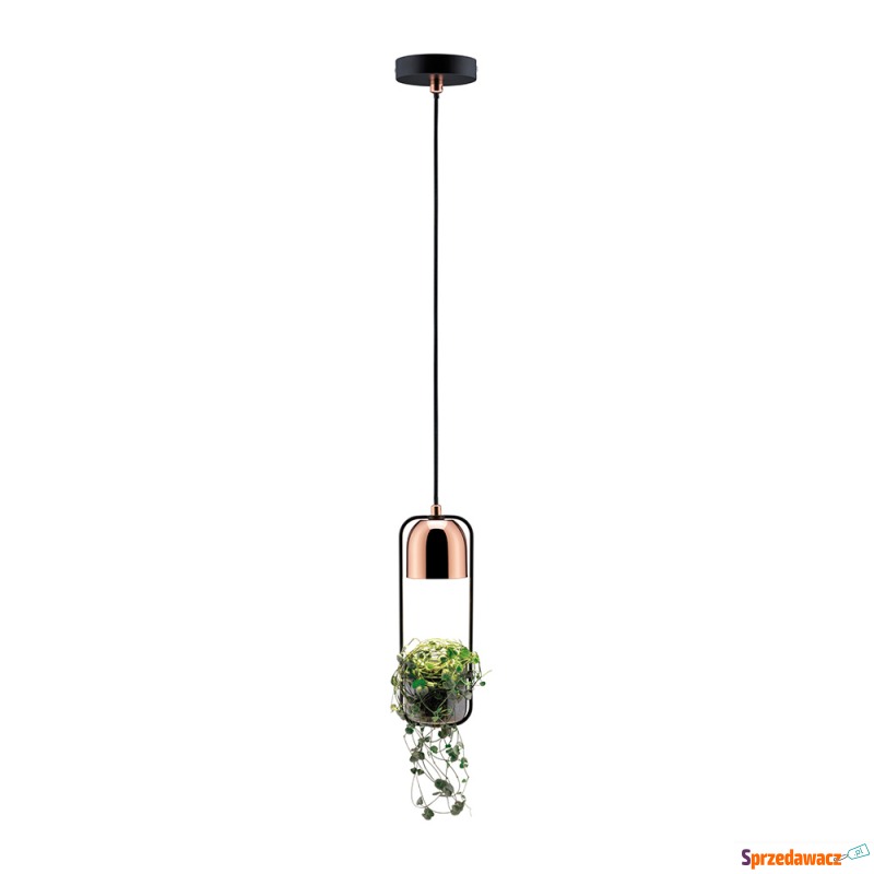 SELSEY Lampa wisząca Nibbler z...