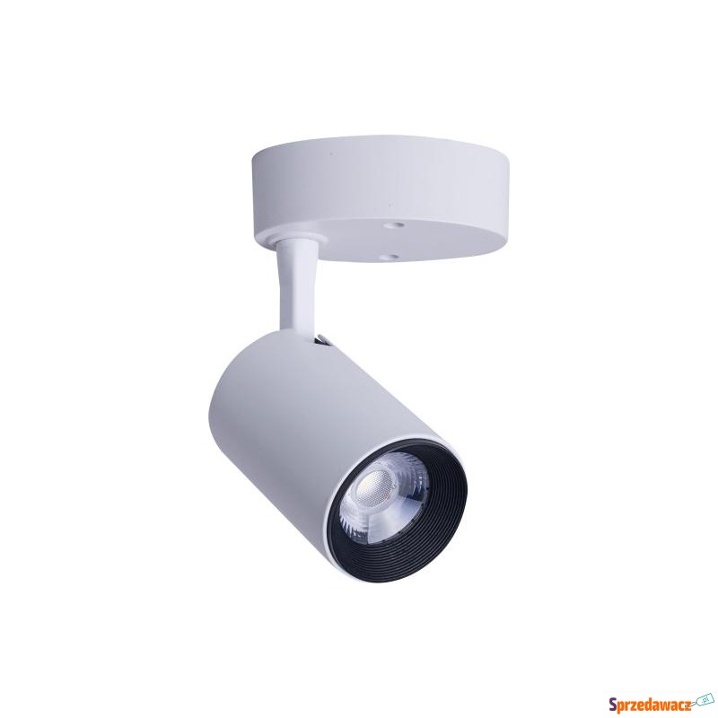 LAMPA SUFITOWA SPOT IRIS LED WHITE...