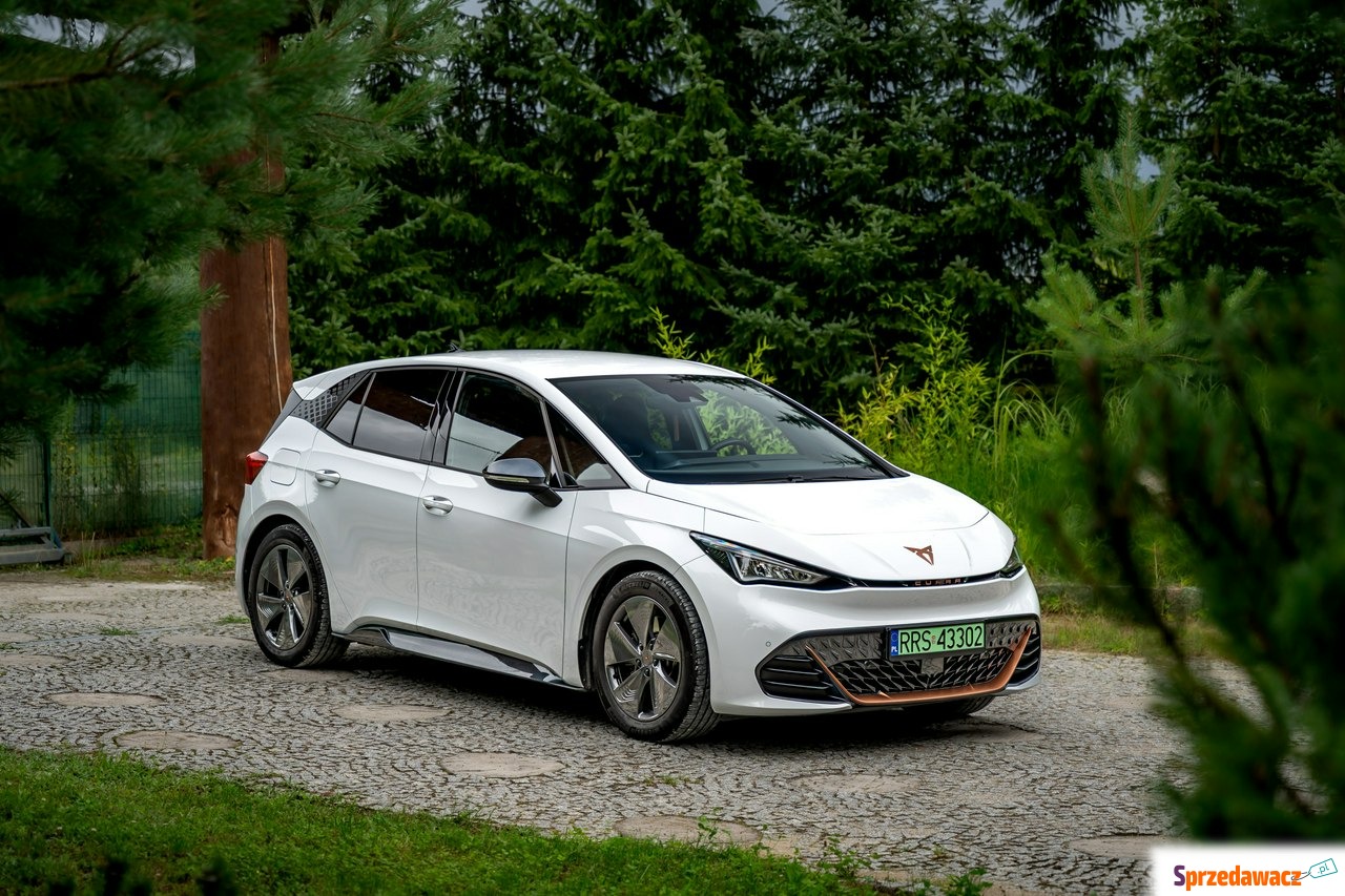 Cupra Born 2022