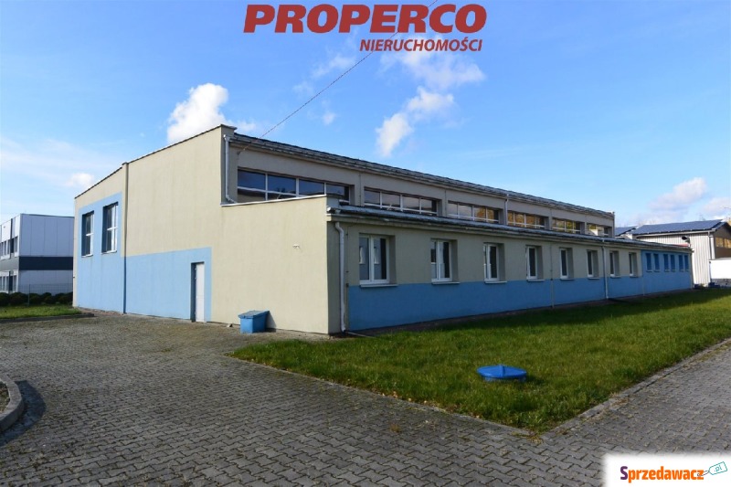 Hala pow. 588 m2, Dobrów, gm. Tuczępy - Lokale użytkowe na s... - Dobrów
