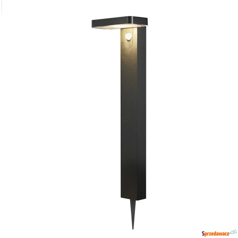 SELSEY Lampa ogrodowa solarna Rica...