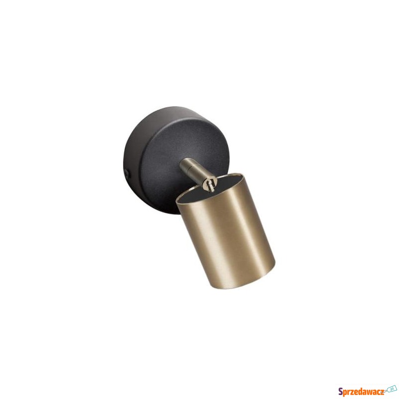 KINKIET EYE SPOT BRASS I 8816...
