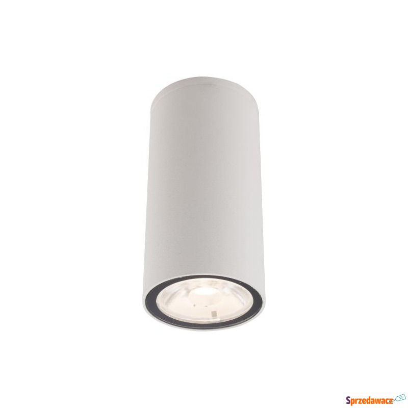 LAMPA SUFITOWA ZEWNĘTRZNA IP54...
