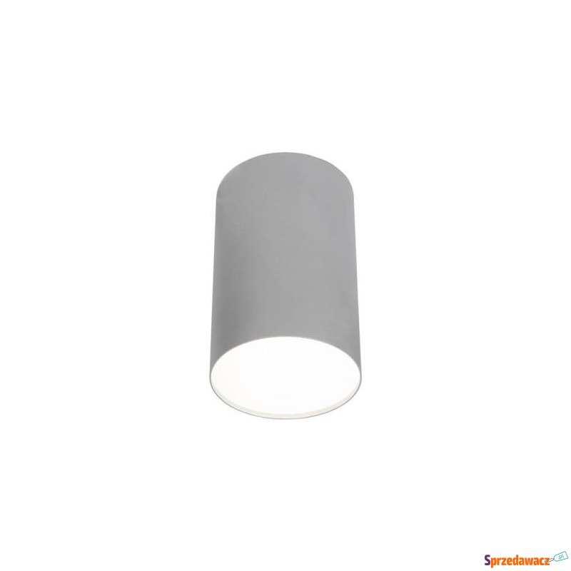 OPRAWA OŚWIETL. POINT PLEXI SILVER L 6531 - Plafony - Ostrołęka