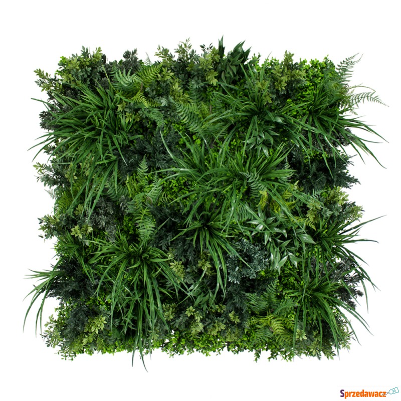 SELSEY Dekoracja ścienna Mattfres Wildgrass -... - Obrazy - Radom