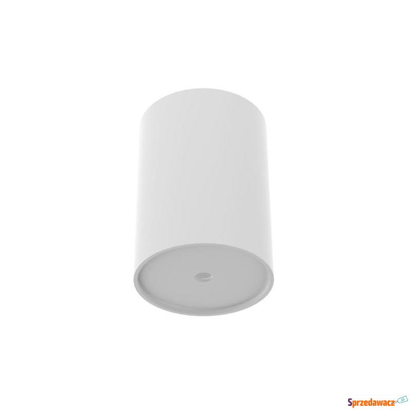 PUSZKA BIAŁA 1 X 40W CAMELEON CANOPY E WHITE 8551... - Pozostałe oświetlenie - Zielona Góra