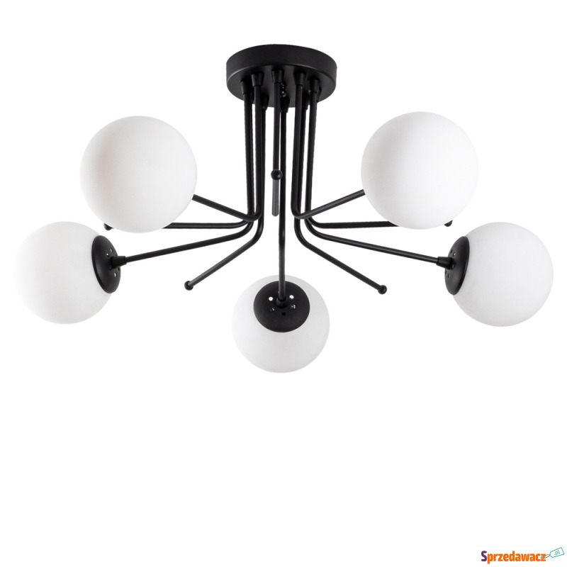 SELSEY Lampa sufitowa Murrayana x5 czarno-biała... - Lampy wiszące, żyrandole - Wodzisław Śląski