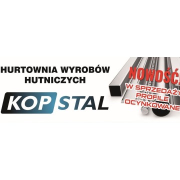 Dwuteownik HEA 100 - 74,00 zł brutto/metr bieżący