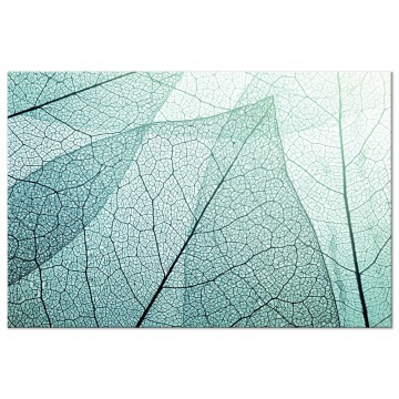 SELSEY Obraz Makro flora jednoczęściowy 90x60 cm szeroki - Genesis