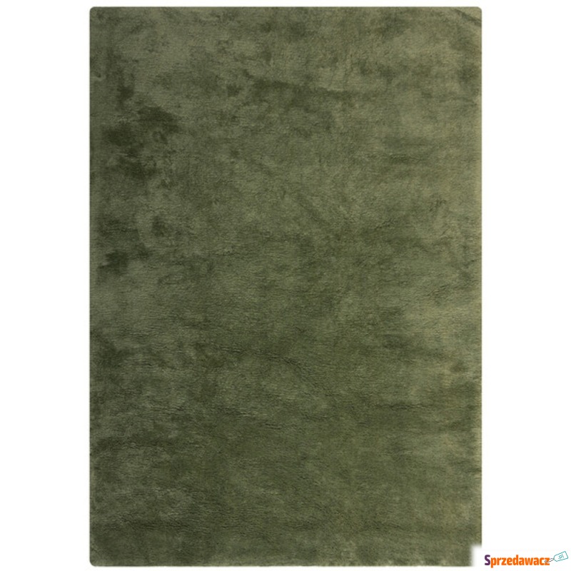 SELSEY Dywan Faroe 160x230 cm zielony - Genesis - Dywany, chodniki - Gliwice