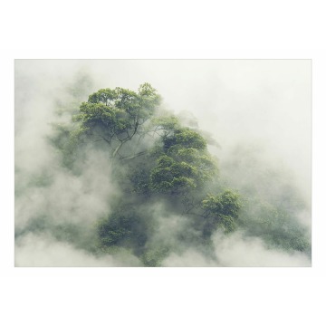 SELSEY Fototapeta Mglista Amazonia 400x280 cm - Genesis