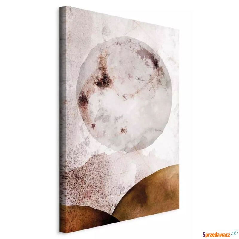 SELSEY Obraz Słoneczne plamy 60x40...