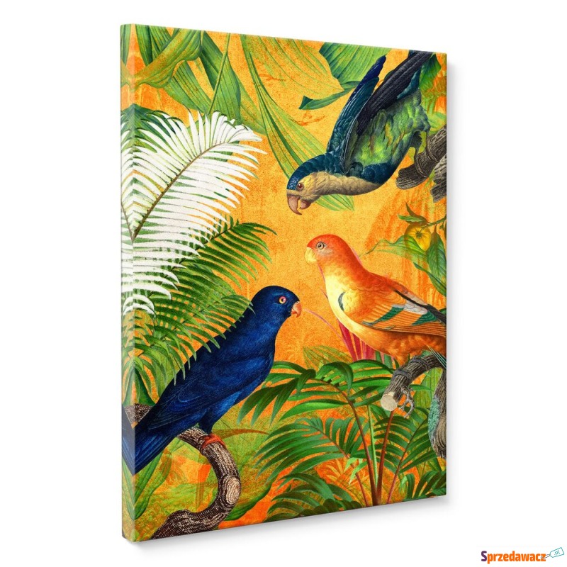 SELSEY Obraz Orange Parrot 100x70...
