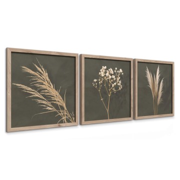 SELSEY Zestaw trzech obrazów Climmes 30x30 cm zielone - Genesis