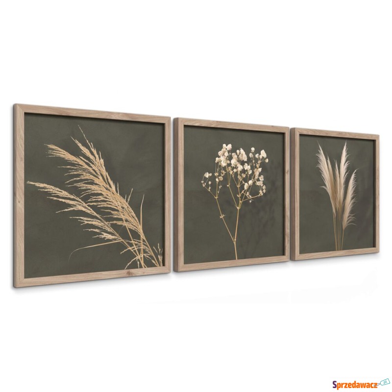 SELSEY Zestaw trzech obrazów Climmes 30x30 cm... - Obrazy - Olsztyn