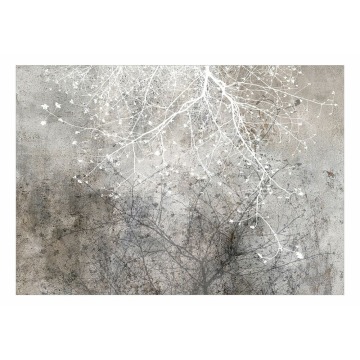 SELSEY Fototapeta Jasne rozgałęzienie 400x280 cm - Genesis