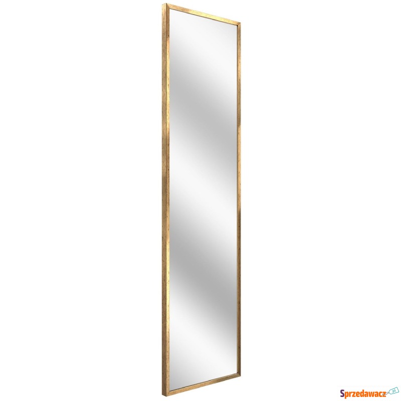 SELSEY Lustro ścienne Dalone 142x37 cm stare... - Lustra - Jaworzno