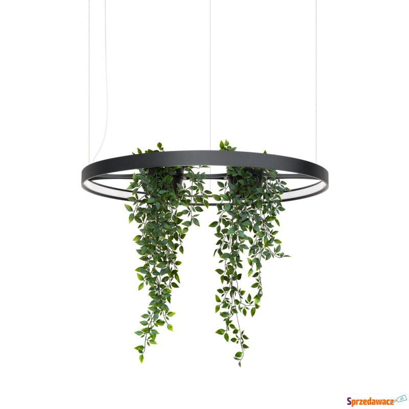SELSEY Żyrandol Rio Bio LED 78...