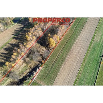 Działka Bęczków sprzedam, pow. 14 452 m2  (1.45ha), uzbrojona - zdjęcie 6