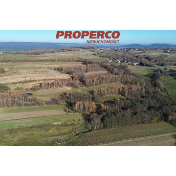 Działka Bęczków sprzedam, pow. 14 452 m2  (1.45ha), uzbrojona - zdjęcie 8