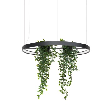 SELSEY Żyrandol Rio Bio LED 78 cm czarny 4000K - Genesis