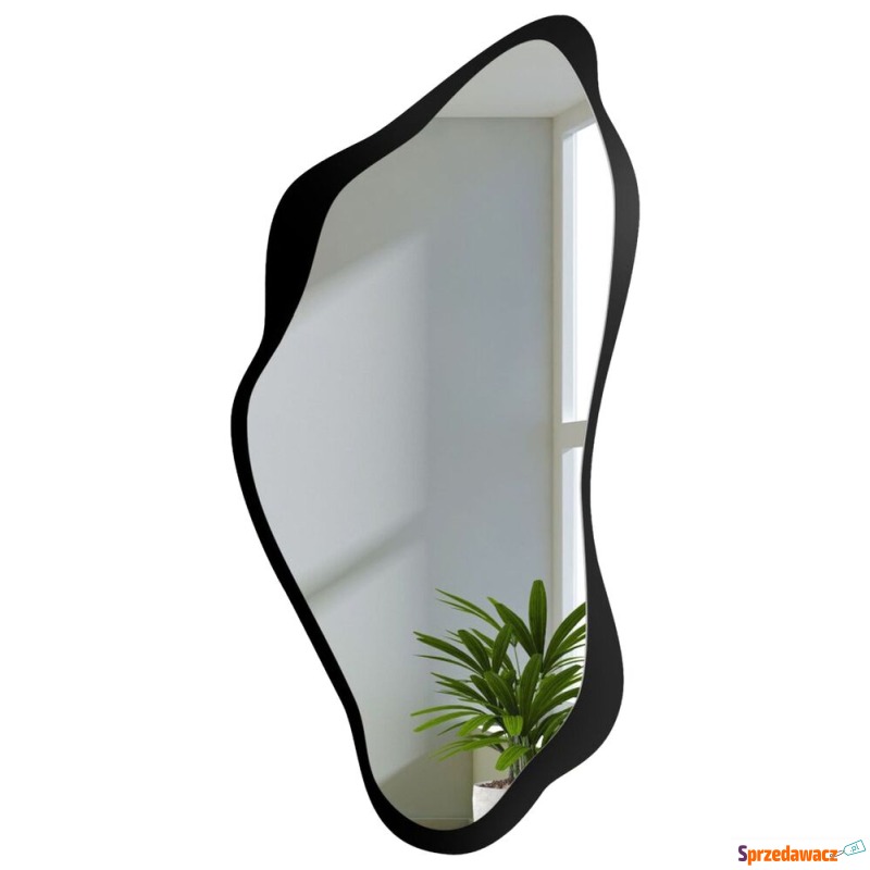 SELSEY Lustro ścienne Piena 120x60 cm w czarnej... - Lustra - Sopot