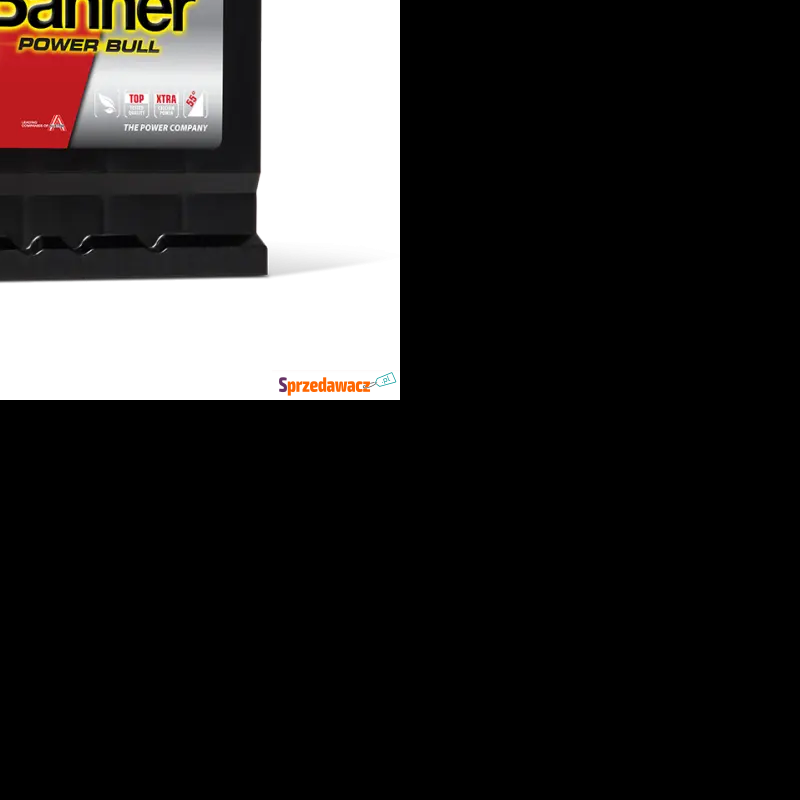 Akumulator 50Ah 450A Banner Power...