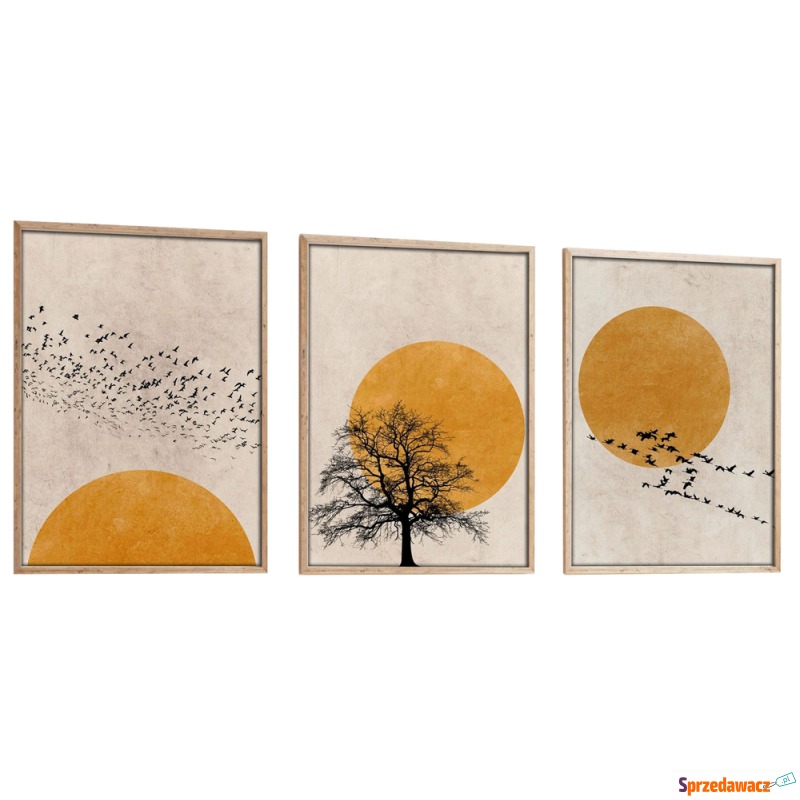 SELSEY Zestaw trzech obrazów Bodenass 50x70 cm... - Obrazy - Wrocław