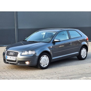 Audi A3  Hatchback 2007,  1.6 benzyna - Na sprzedaż za 18 900 zł - Olsztyn - zdjęcie 3