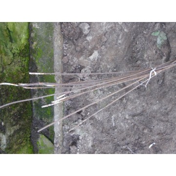 Drut pręt metalowy grubość 6mm pręty metalowe... - Druty, pręty, liny stalowe - Łódź - zdjęcie 3
