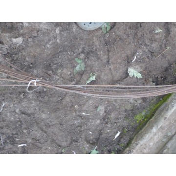Drut pręt metalowy grubość 6mm pręty metalowe... - Druty, pręty, liny stalowe - Łódź - zdjęcie 4