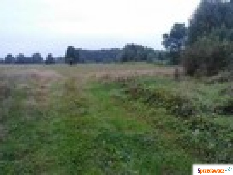Działka budowlana Krzeczów sprzedam, pow. 1667 m2  (16.7a)