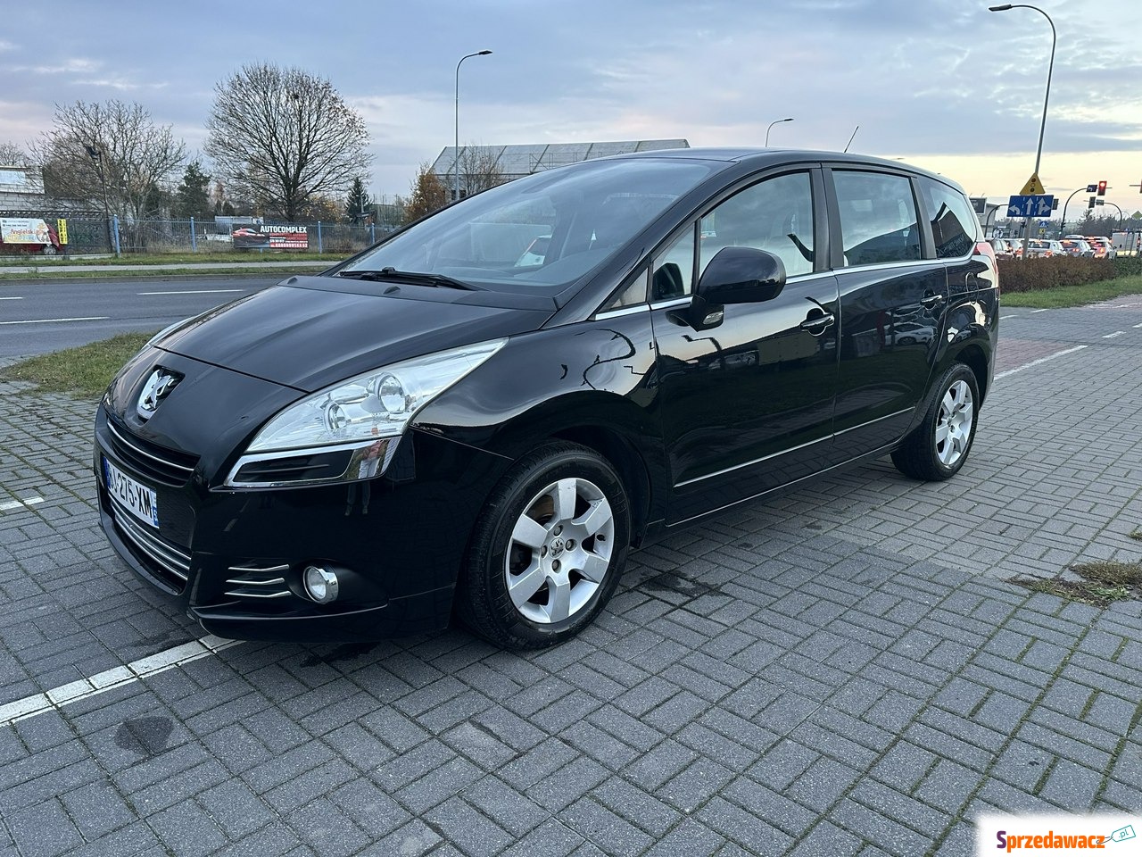 Peugeot 5008 2011