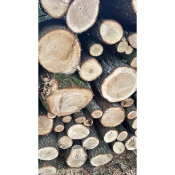Drewno do wędzenia kominkowe opałowe Dąb dębowe 1kg 4L wysyłka suche