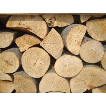 Drewno kominkowe opałowe kominka Jodła 1kg 4L... - Pozostałe rośliny - Łódź - zdjęcie 4