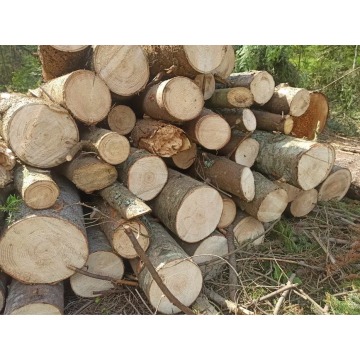 Drewno kominkowe opałowe kominka Jodła 1kg 4L... - Pozostałe rośliny - Łódź - zdjęcie 2