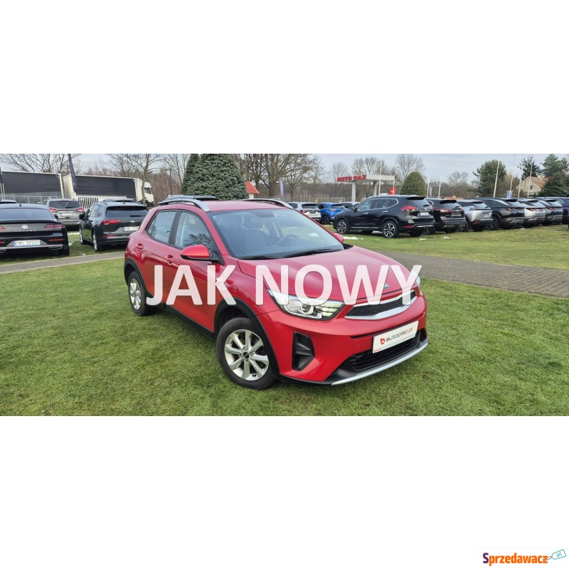 Kia Stonic  Hatchback 2020,  1.0 benzyna - Na sprzedaż za 56 800 zł - Paproć
