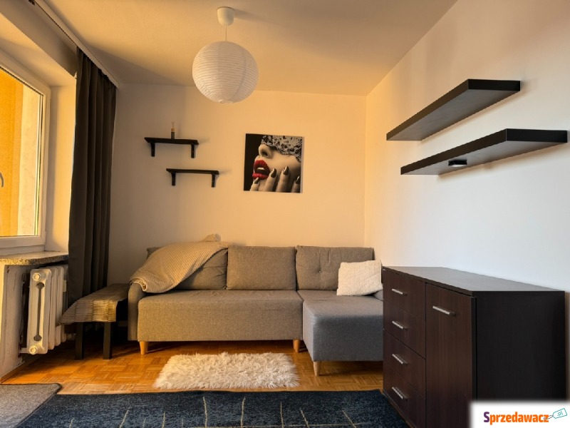Mieszkanie jednopokojowe Lublin,   36 m2, 4 piętro - Do wynajęcia
