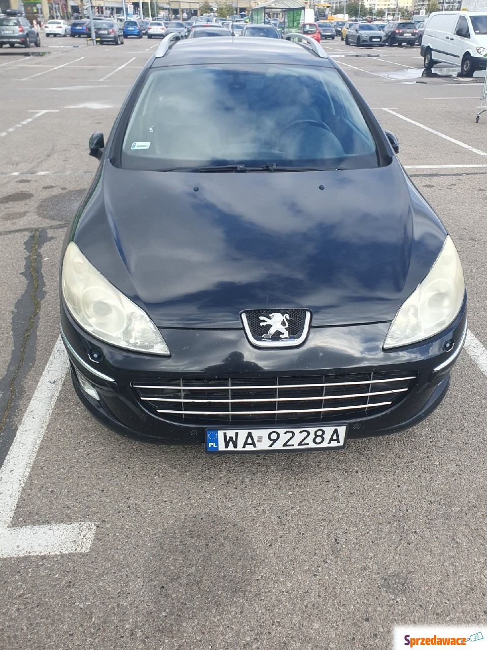 Peugeot 407 2009