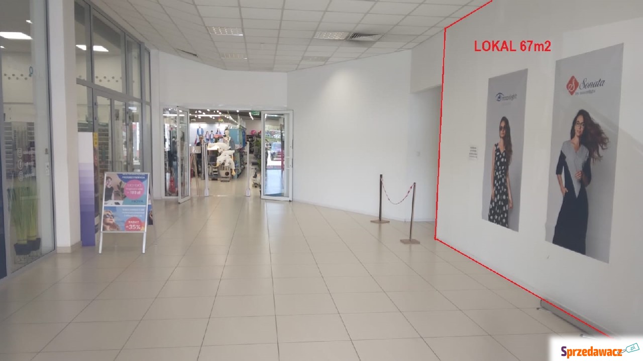 Wynajmę lokal ok. 67m2 na parterze...