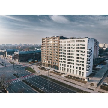 Lokal na wynajem