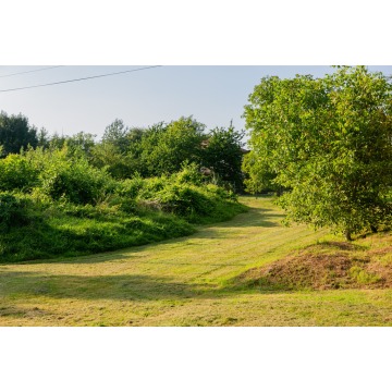 Działka Łukanowice sprzedam, pow. 3200 m2  (32a) - zdjęcie 6