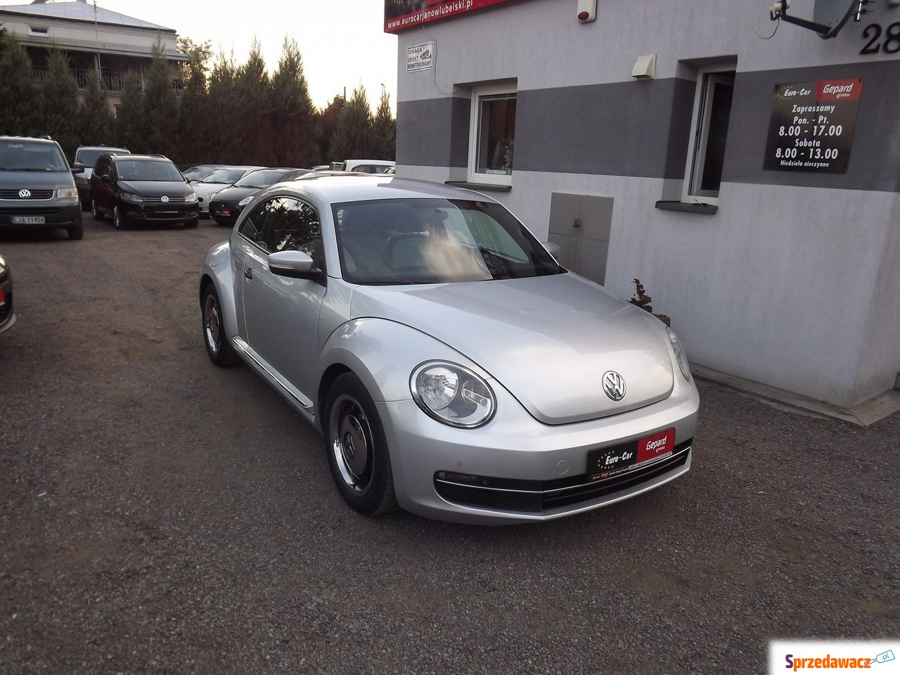 Volkswagen Beetle 2015